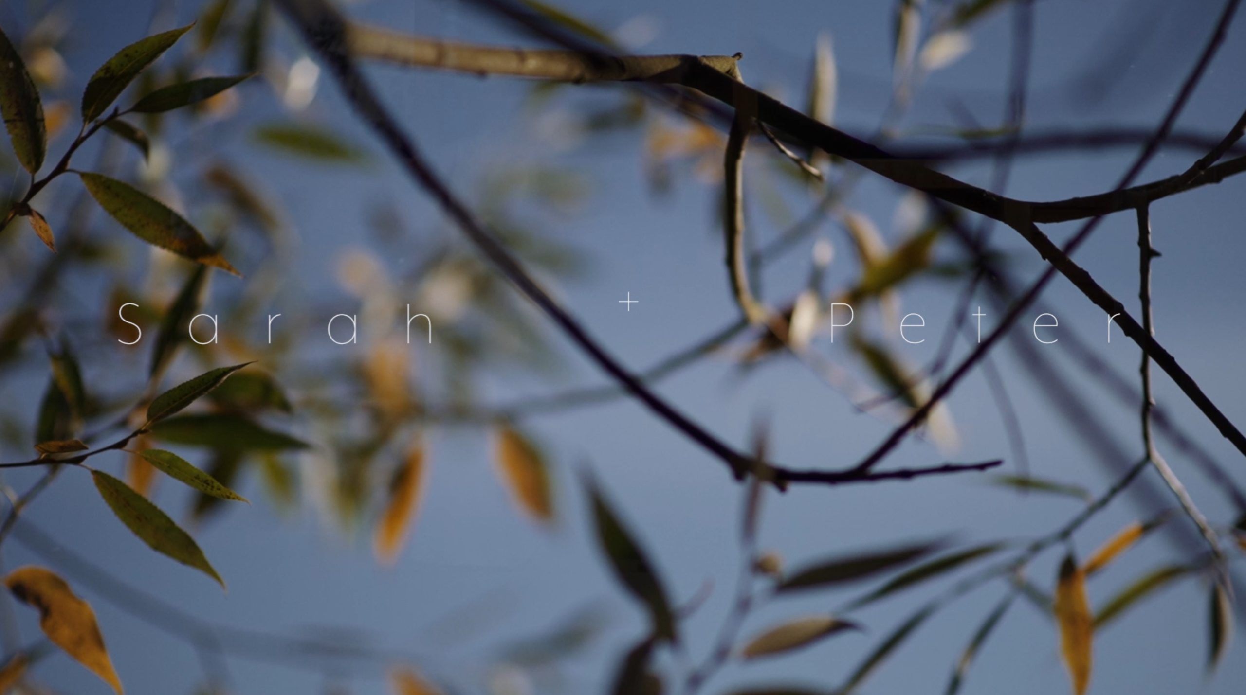 Mill Barns wedding videographer